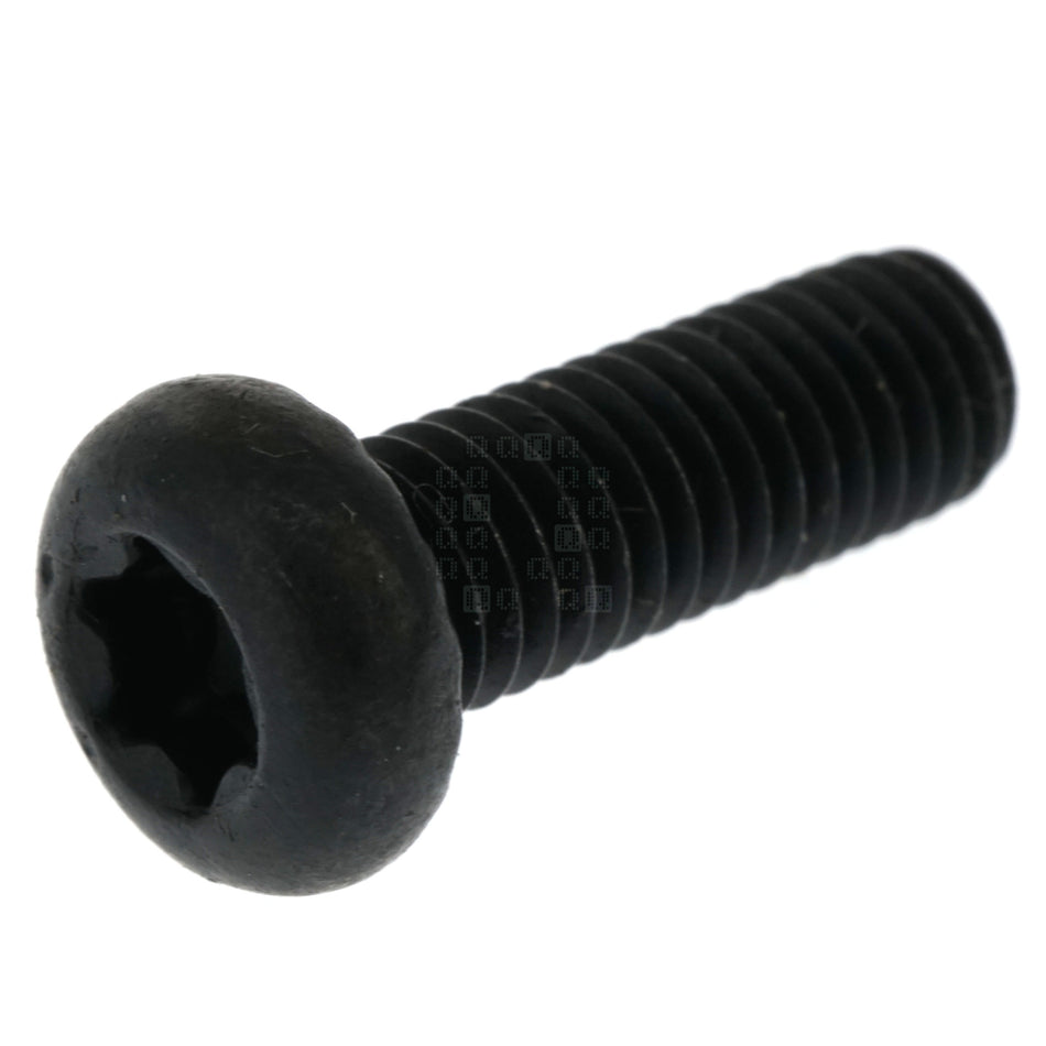 Milwaukee Tool 05-74-1015 T25 TORX Screw, #10-32