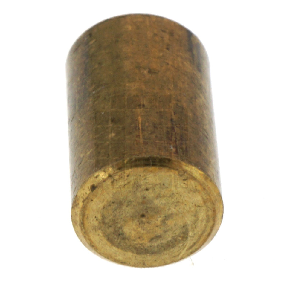 Milwaukee 45-30-0160 Brass Slug